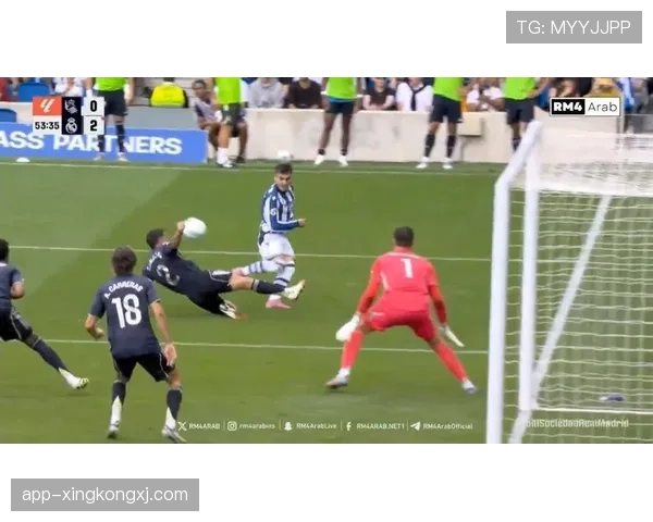 禁区手球判罚标准为何变得越来越严格？裁判最新解读揭秘